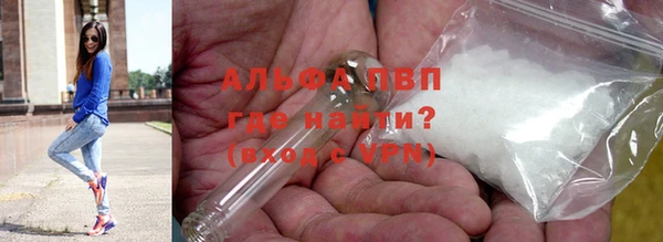 сатива Аркадак
