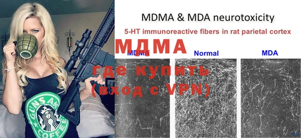 сатива Аркадак